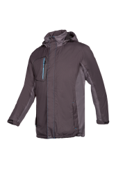 Haines 572A