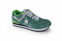 Flying wing green